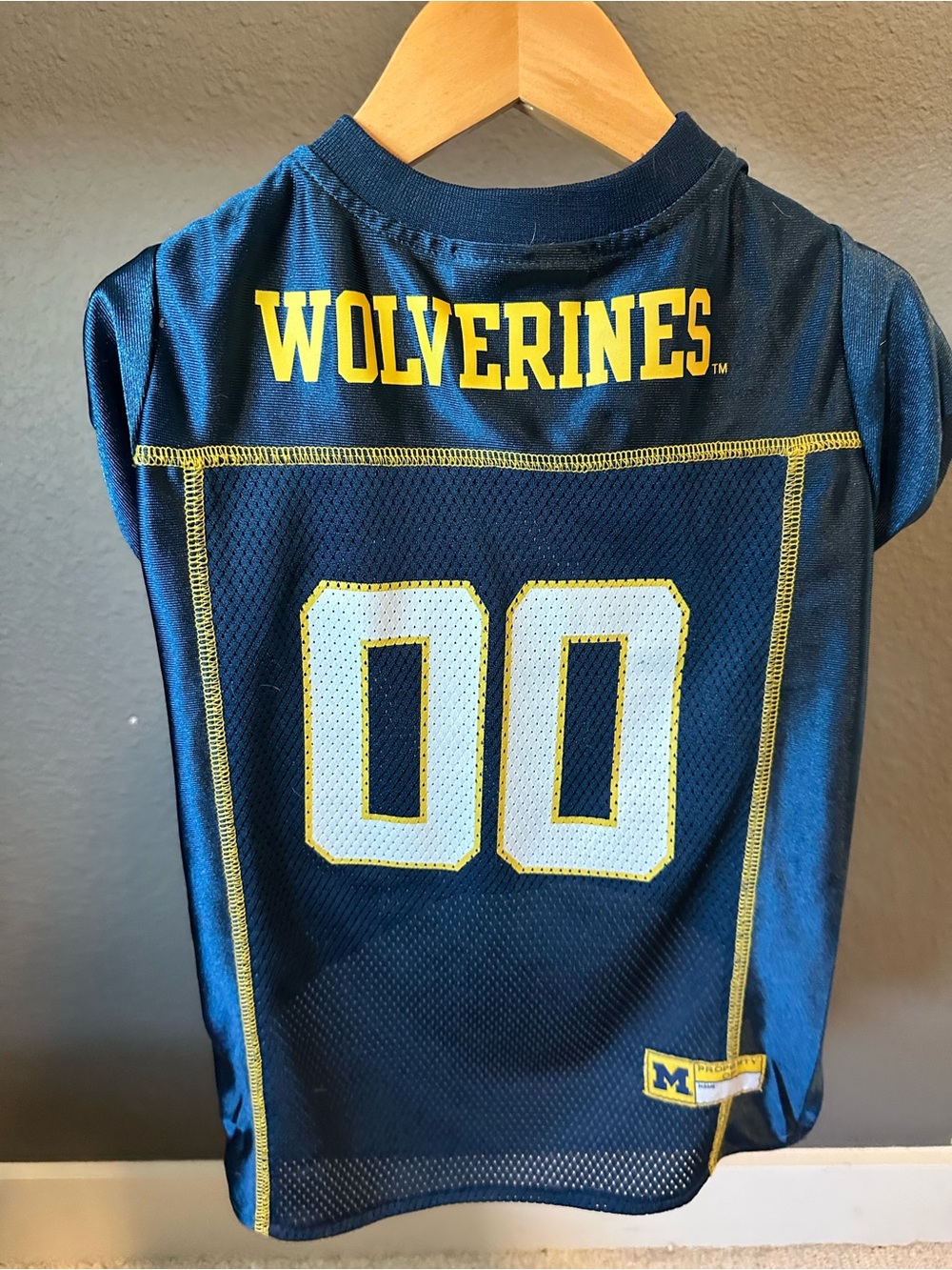 Wolverine Navy and Yellow Kids Football Jersey